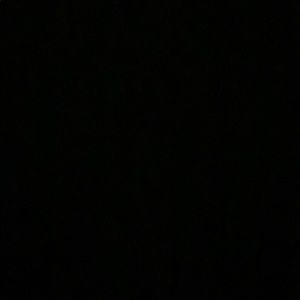 Meet your Posher, Rylee